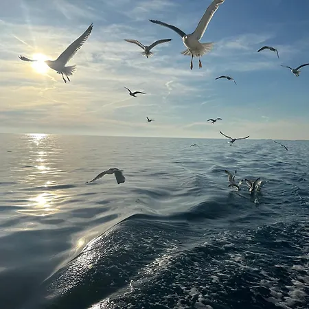 Gold With Free Parking Apartamento