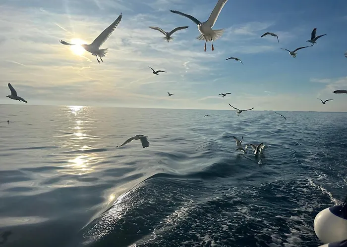 Gold With Free Parking Lejlighed